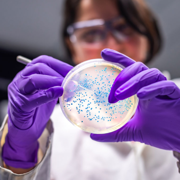 Core Values lab biotechnology