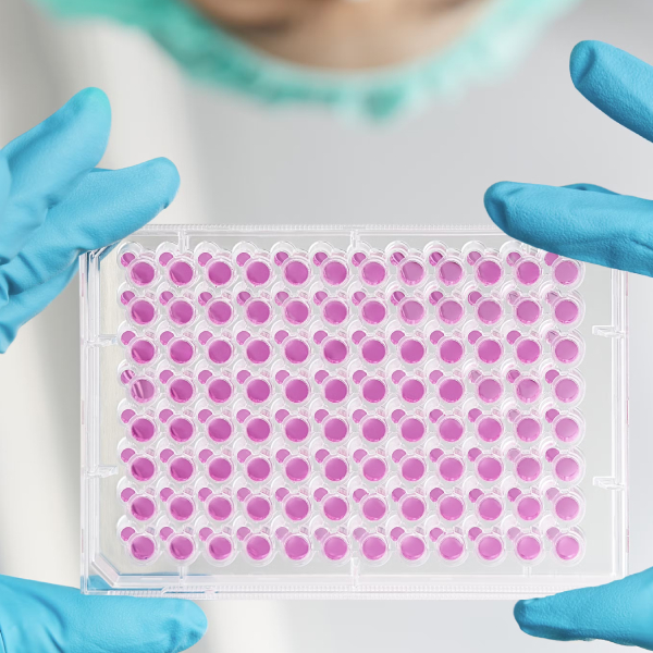 Integrated Solutions for Drug Development lab biotechnology