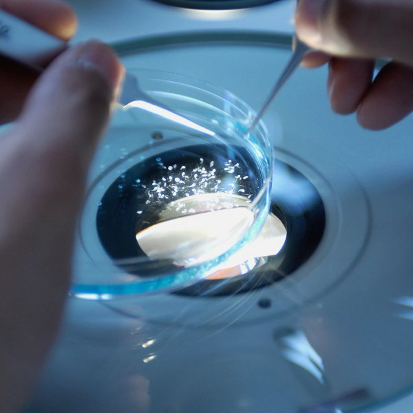ollaborative Execution lab biotechnology